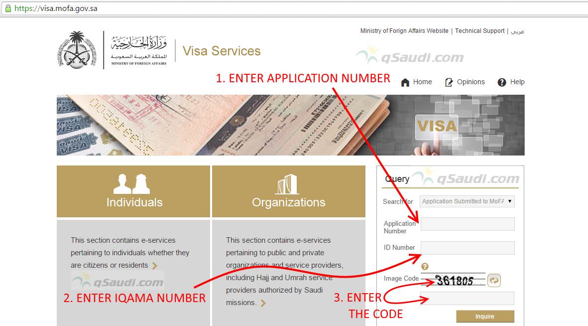 how to check mofa visit visa status